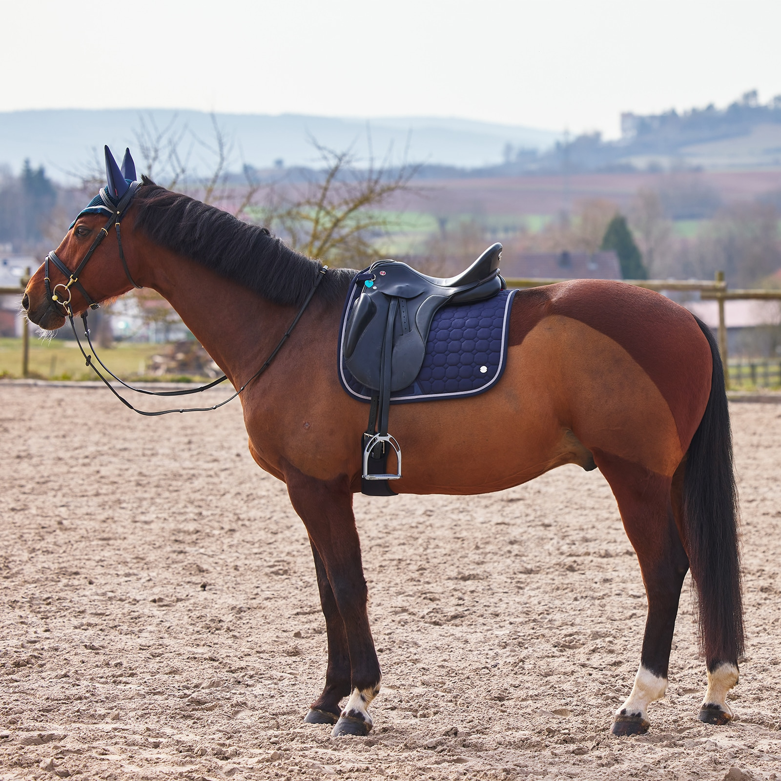 B Vertigo Zurich Dressage Saddle Pad - Image 2
