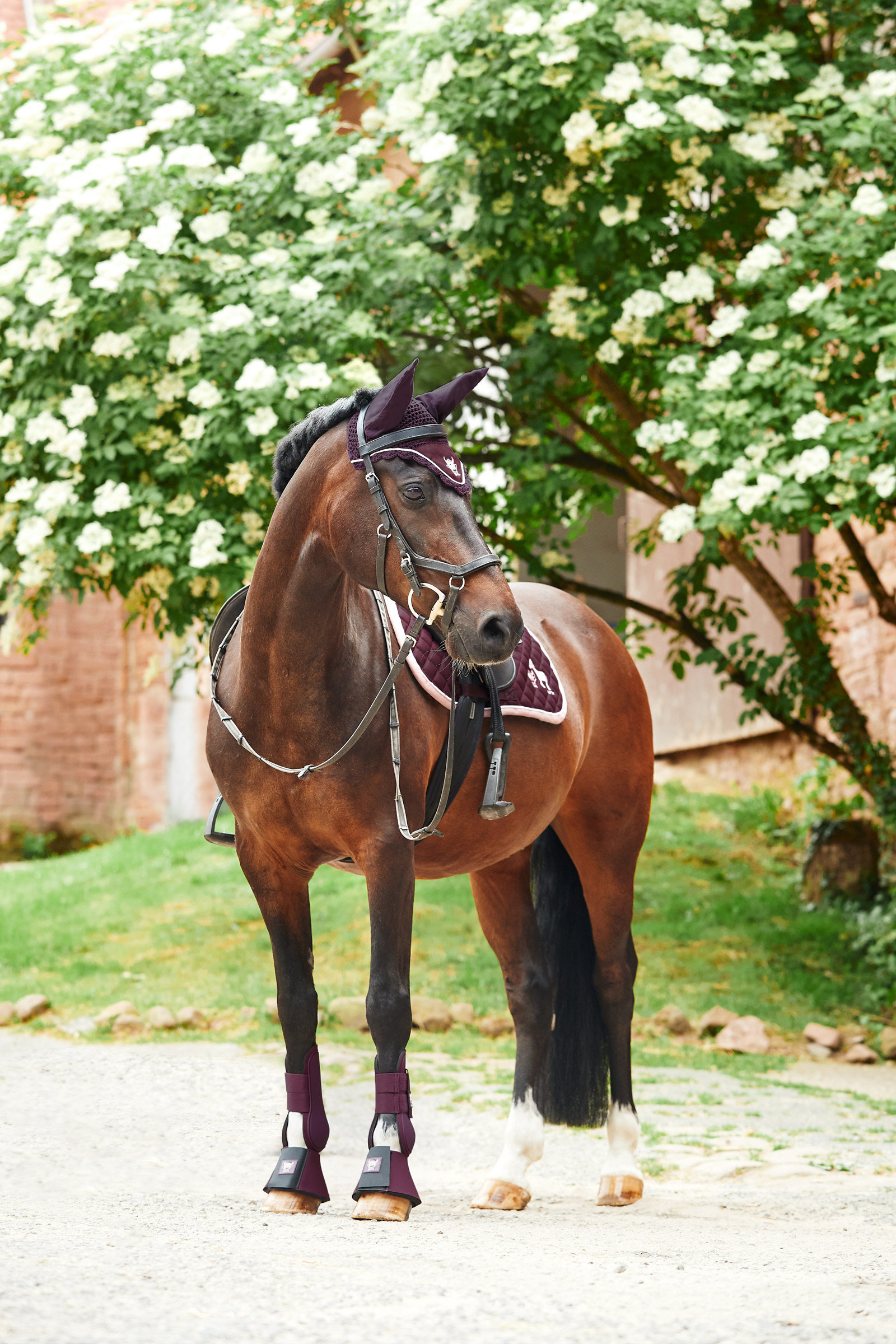 Horze Monster Pony Saddle Pad With Embroidery - Image 5