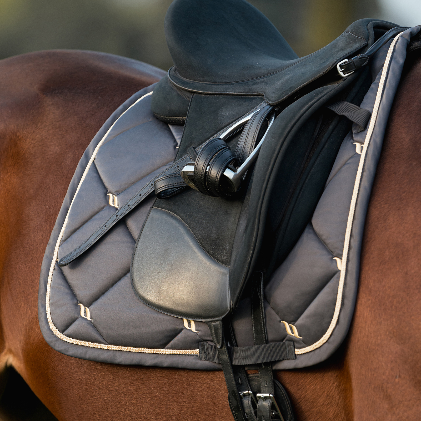 Back On Track Night Collection Dressage Saddle Pad - Image 3