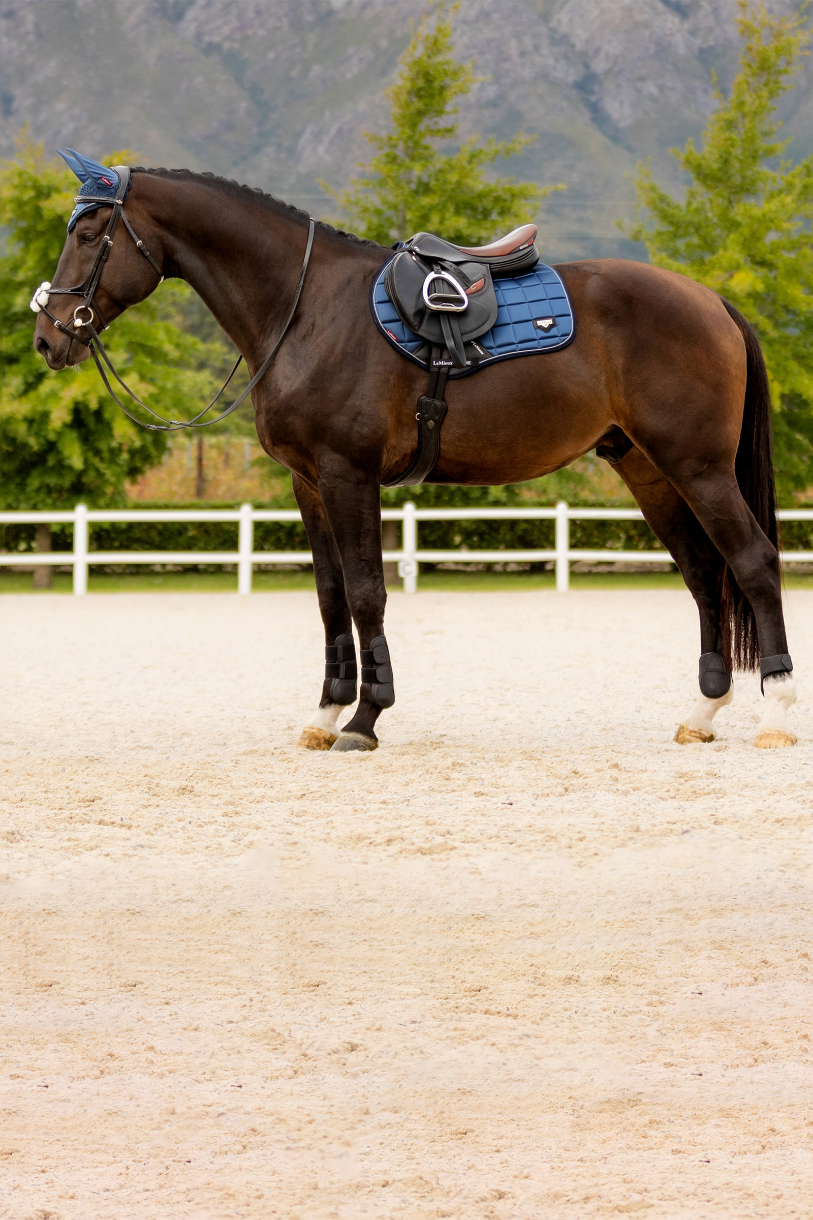 LeMieux Loire Classic CC Jumping Saddle Pad - Image 2